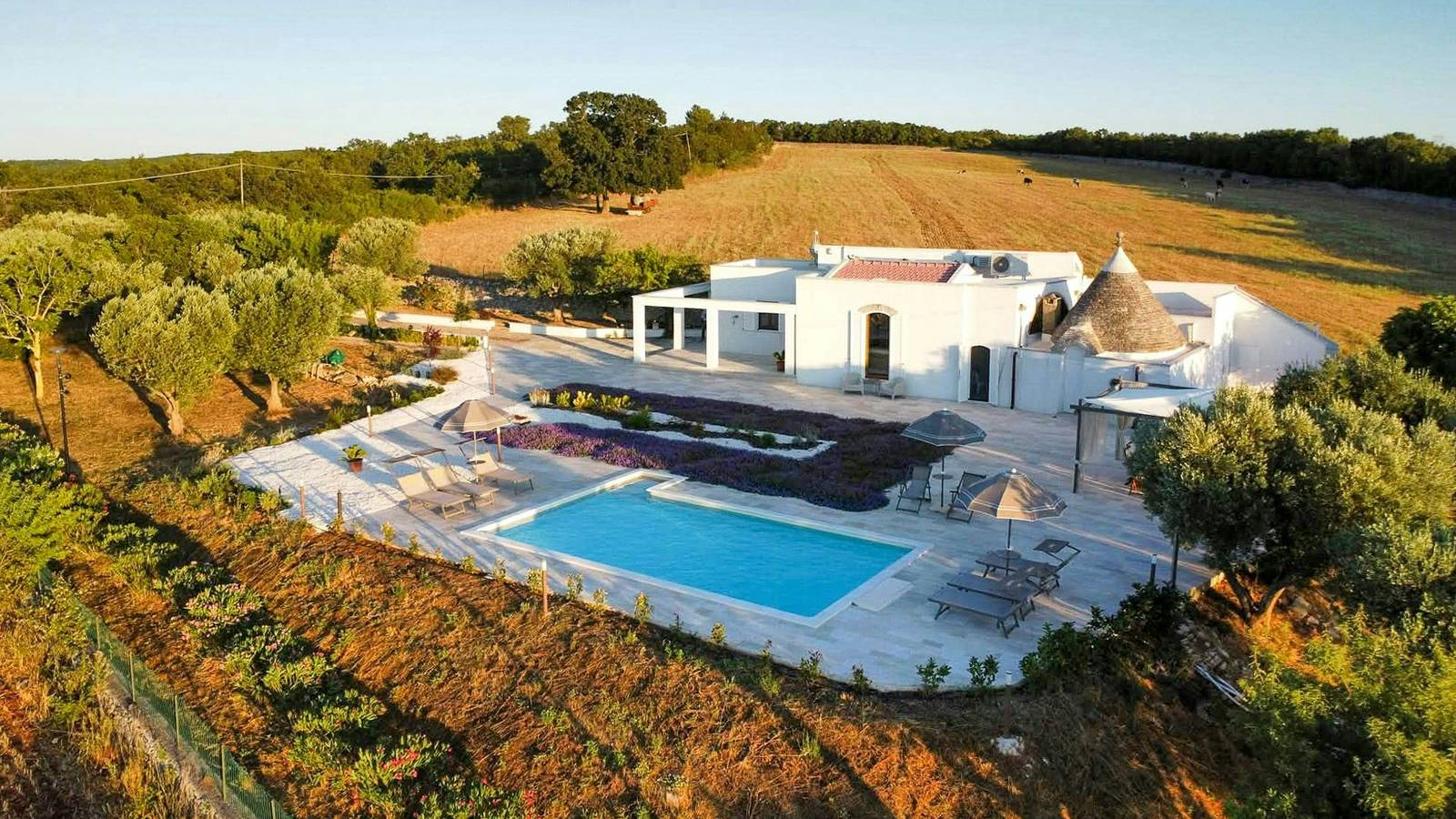 Trullo con piscina nella campagna pugliese in Noci, Provincia di Bari