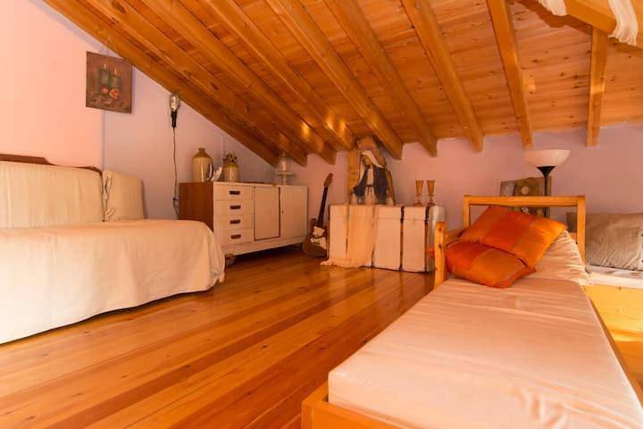 Ferienhaus für 4 Personen, mit Terrasse, mit Haustier - 1