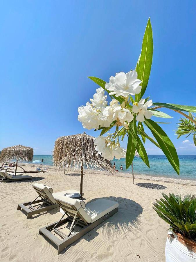 Byblos Mare Villa in Skala Sotiros, Thassos