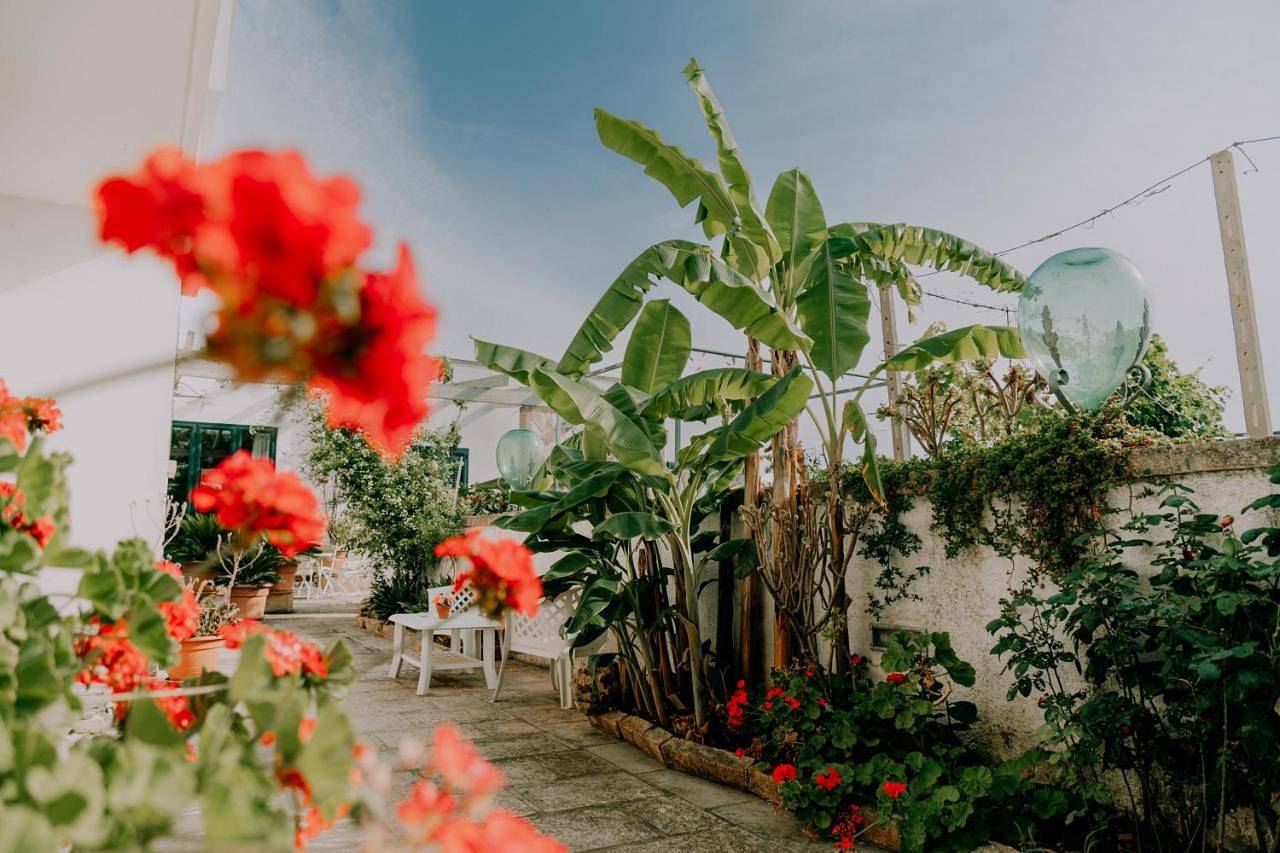 Masseria Agriturismo Il Sorriso Degli Ulivi - Dimora di Charme in Gallipoli, Golfo di Taranto