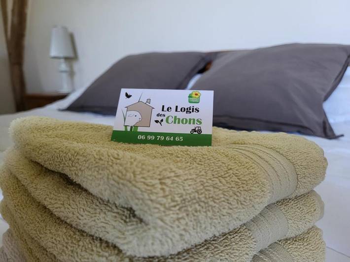 Location de vacances pour 5 personnes, avec vue et jardin dans Lys-Haut-Layon - 4