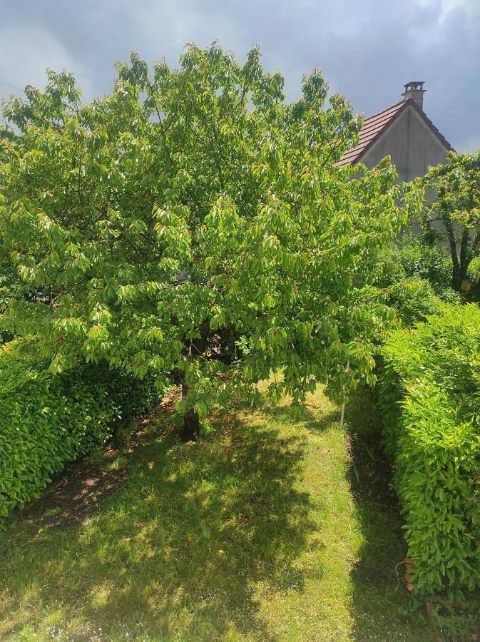 Gîte pour 4 personnes, avec jardin et vue à Achères - 3