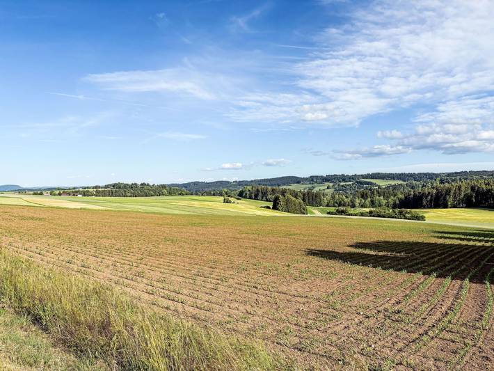 Ferienhaus für 3 Personen, mit Garten in Löffingen - 2