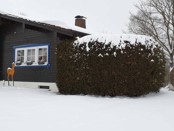 Ferienhaus für 14 Personen, mit Garten, kinderfreundlich im Waldecker Land - 3