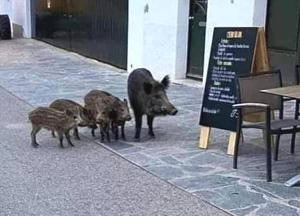 Casa de vacaciones para 4 personas, con vistas además de piscina y jardín en Provincia de Almería - 4