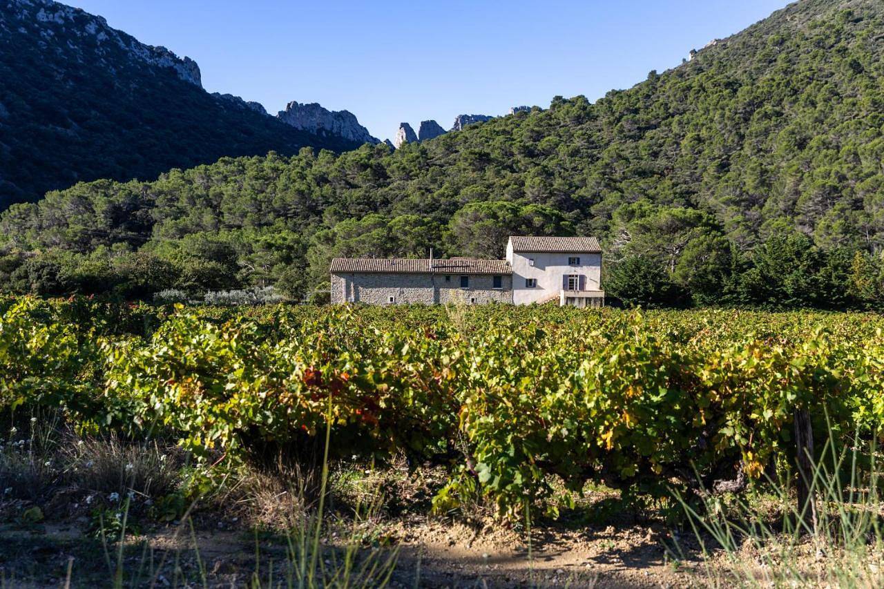 Holiday Home in Lafare, Vaucluse