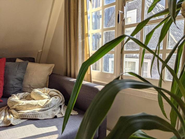 Ferienhaus für 4 Personen, mit Garten und Ausblick in Anne Frank Haus - 4