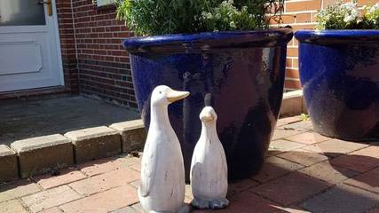 Vakantiewoning voor 4 Personen in Leer, Zuidelijke Noordzeekust, Afbeelding 2