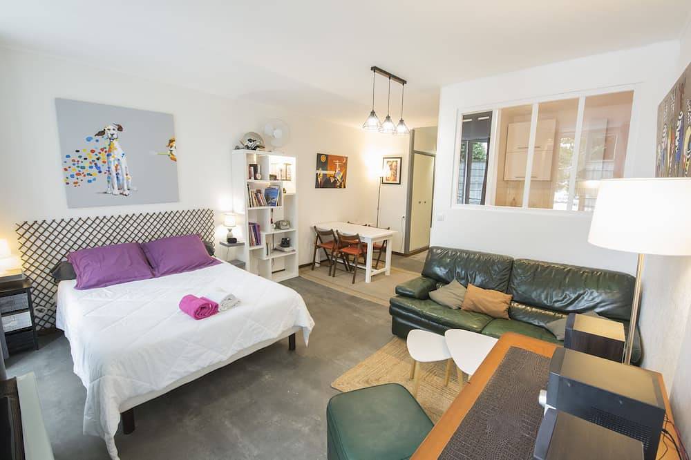 Entire apartment, Large studio 36m2 facing south and bordering Place Marcadieu in Tarbes, Hautes-Pyrénées