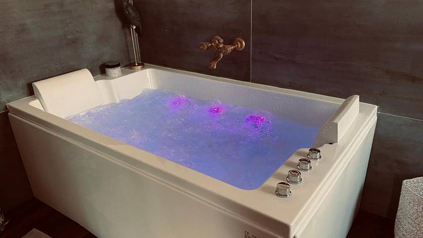 Location de vacances pour 2 personnes, avec jacuzzi ainsi que jardin et piscine à Semussac - 3