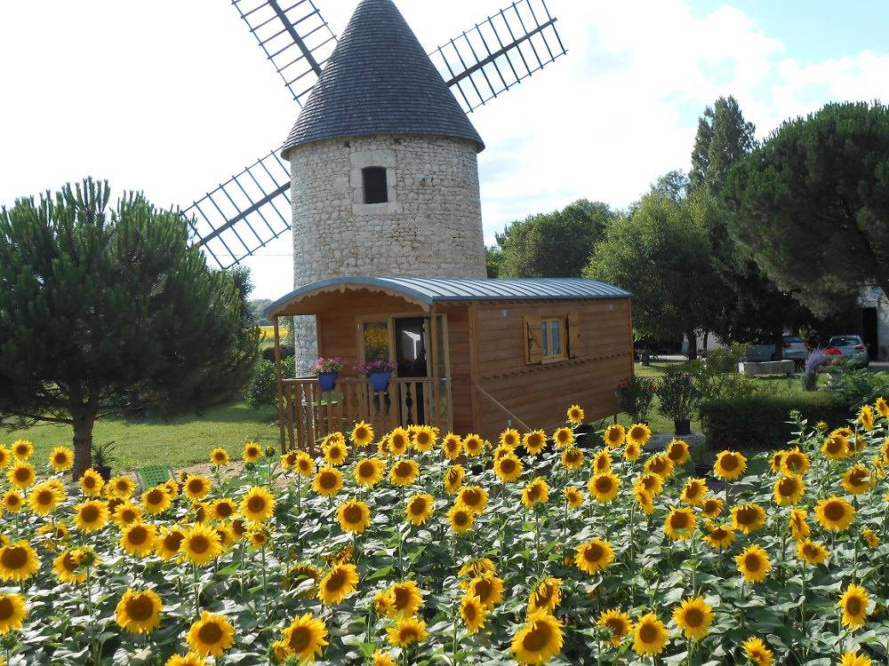 La Roulotte du Vieux Moulin - Roulotte in Grézac, Région de Saintes