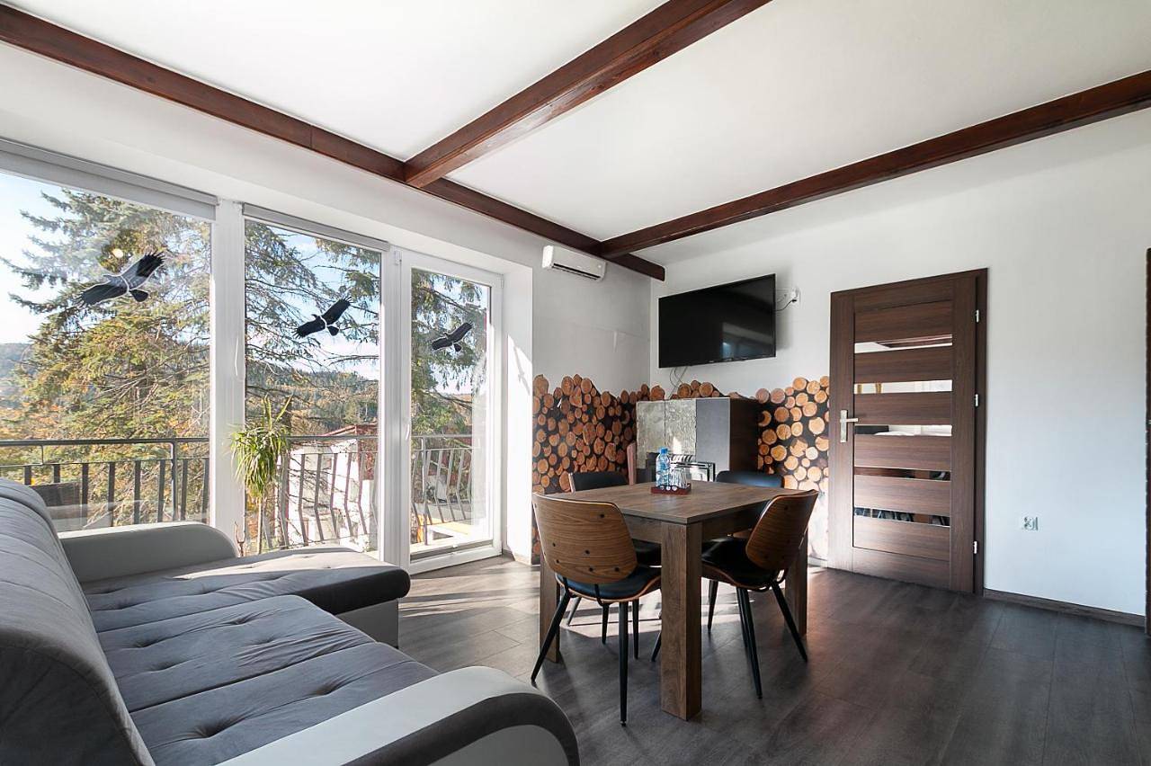 Villa Platinum in Wisła, Karpaty (Polska)