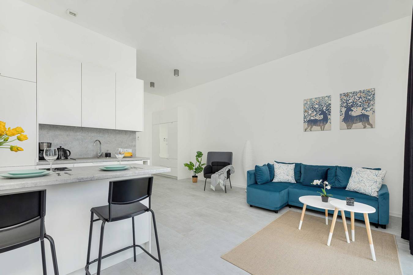 Entire studio, Chmielewskiego 24 Szczecin | Modern Studio with Parking in Szczecin, Polish Baltic Sea