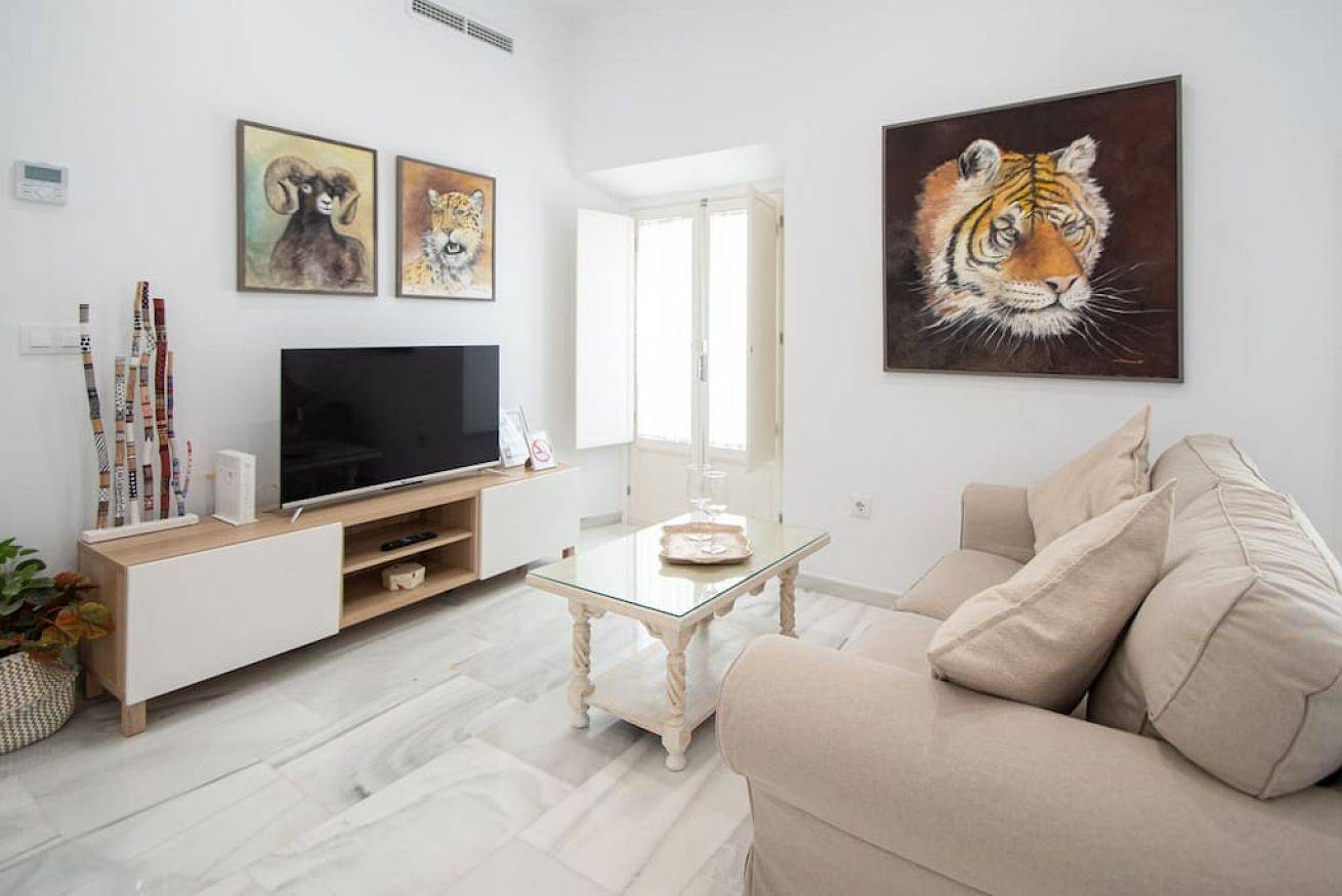 Entire apartment, Apartamento Animalia in Cadiz Old Town, Cádiz