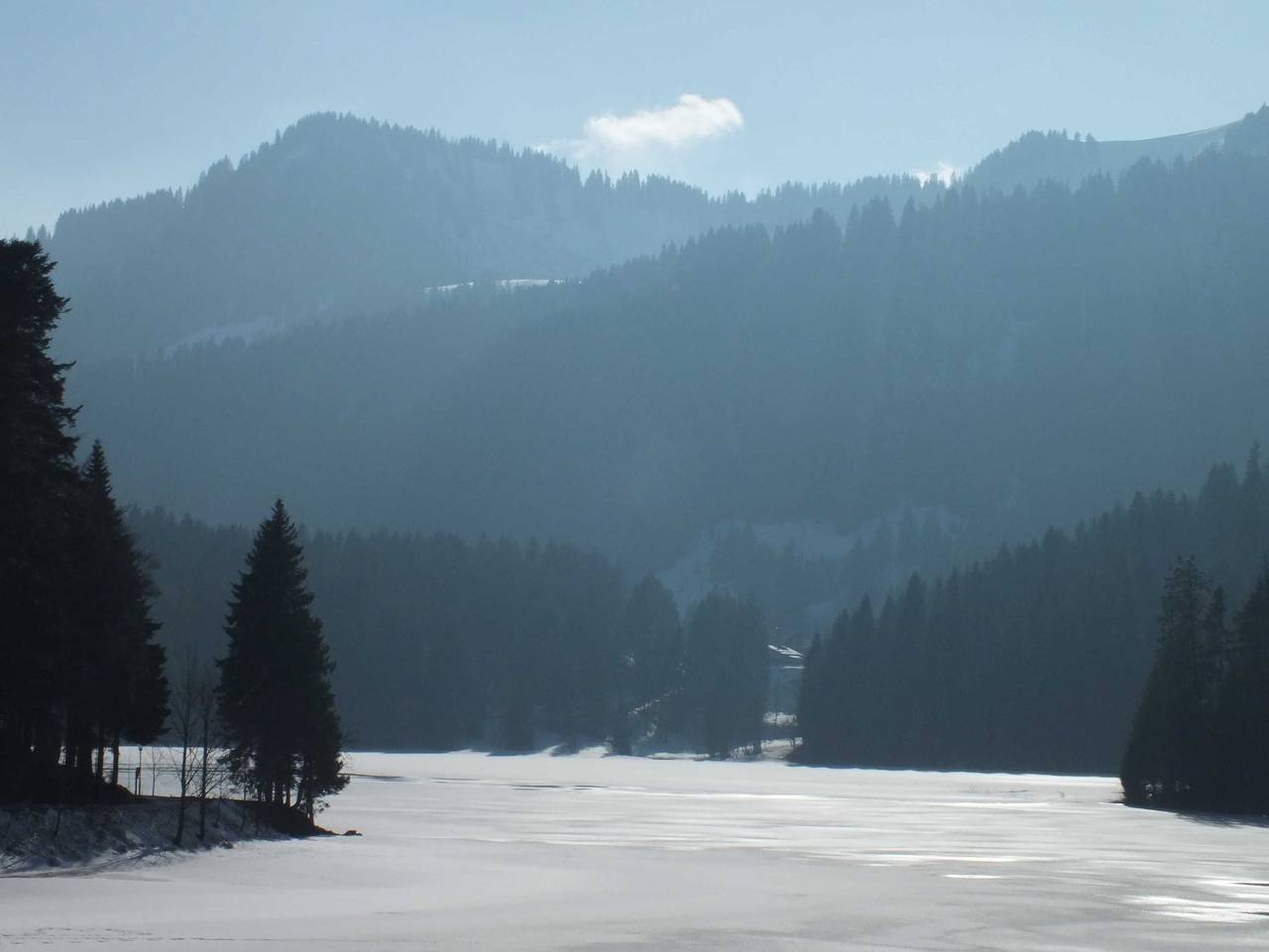 Ganze Ferienwohnung, Ferienwohnungen Forsthaus Krämer in Schliersee, Alpenland Tegernsee Schliersee