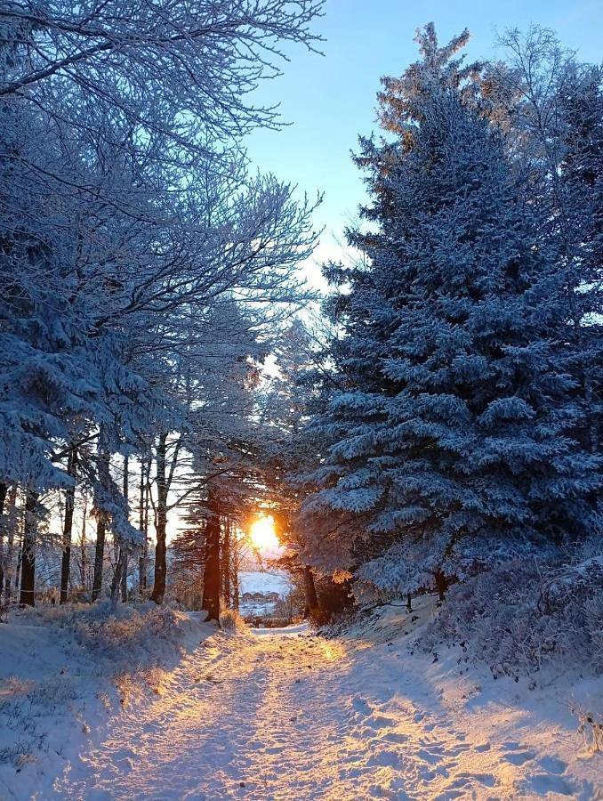 Location de vacances pour 2 personnes, avec jardin à Saint-Julien-Molin-Molette - 3