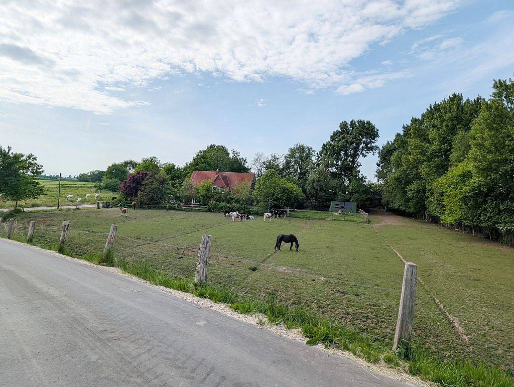 Ganze Wohnung, Ferienwohnung Kleeblatt-Dairy für 5 Personen bei Tönning in Kating, Tönning