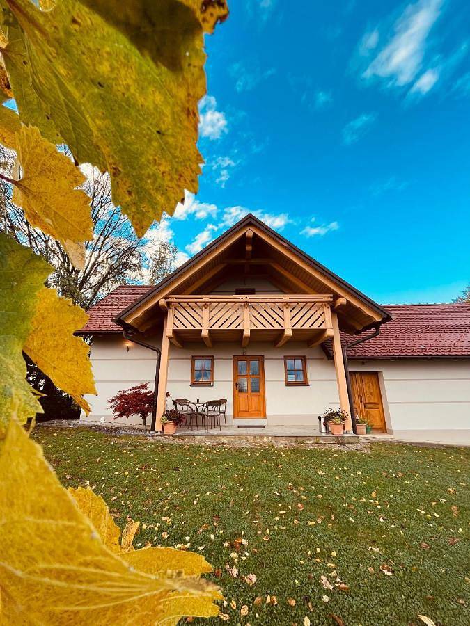 Gîte pour 4 personnes, avec jacuzzi ainsi que jardin et balcon dans Ormož - 4