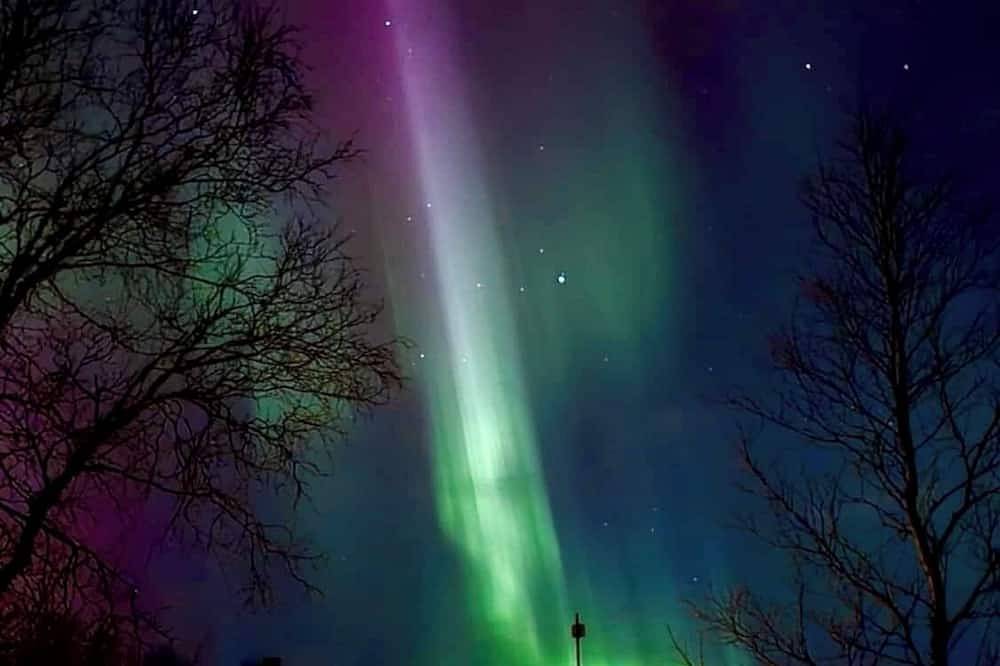 Aurora Paradise house with, Wifi, Ac, 98 inch Tv and private playground in Narvik