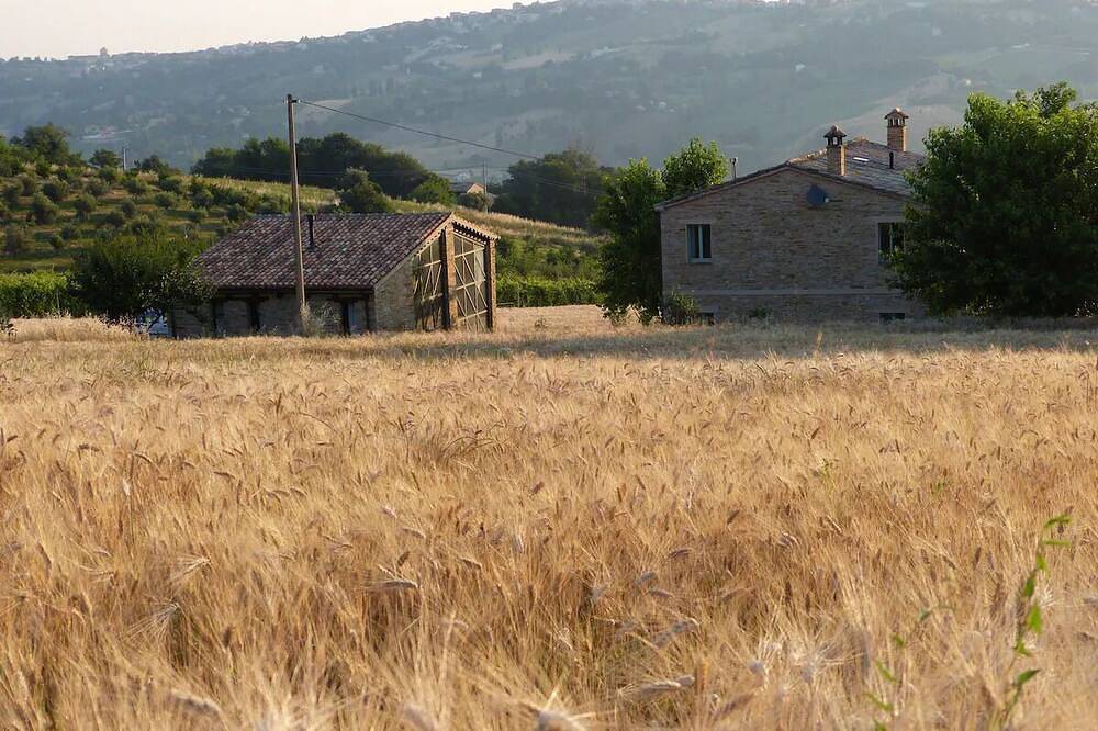 Nature Lover's Retreat: Country House Amidst Vineyards & Olive Groves in Apiro, Province de Macerata