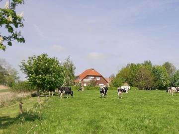 Bauernhaus für 5 Personen, mit Terrasse in Westerholt