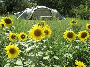 Camping pour 6 Personnes dans Seillac, Vallée de la Loire, Photo 4