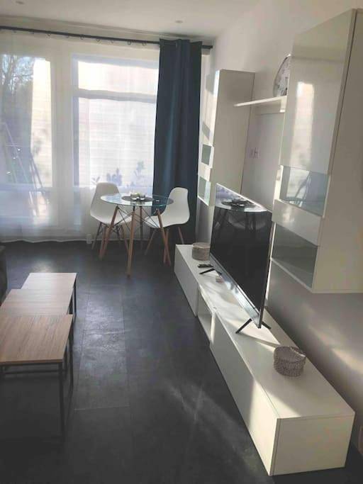 Gîte pour 6 personnes, avec jardin et vue, animaux acceptés à Pierre-Bénite - 3