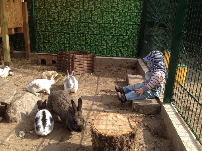 Bauernhof für 3 Personen, mit Garten und Ausblick, mit Haustier in der Lüneburger Heide - 3