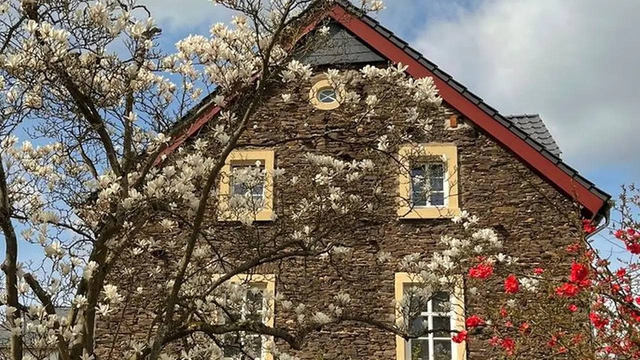 Ganze Ferienwohnung, Ferienwohnung für 9 Personen (120 m²) in Bernkastel-Kues in Wehlen (Rheinland-Pfalz), Bernkastel-Kues
