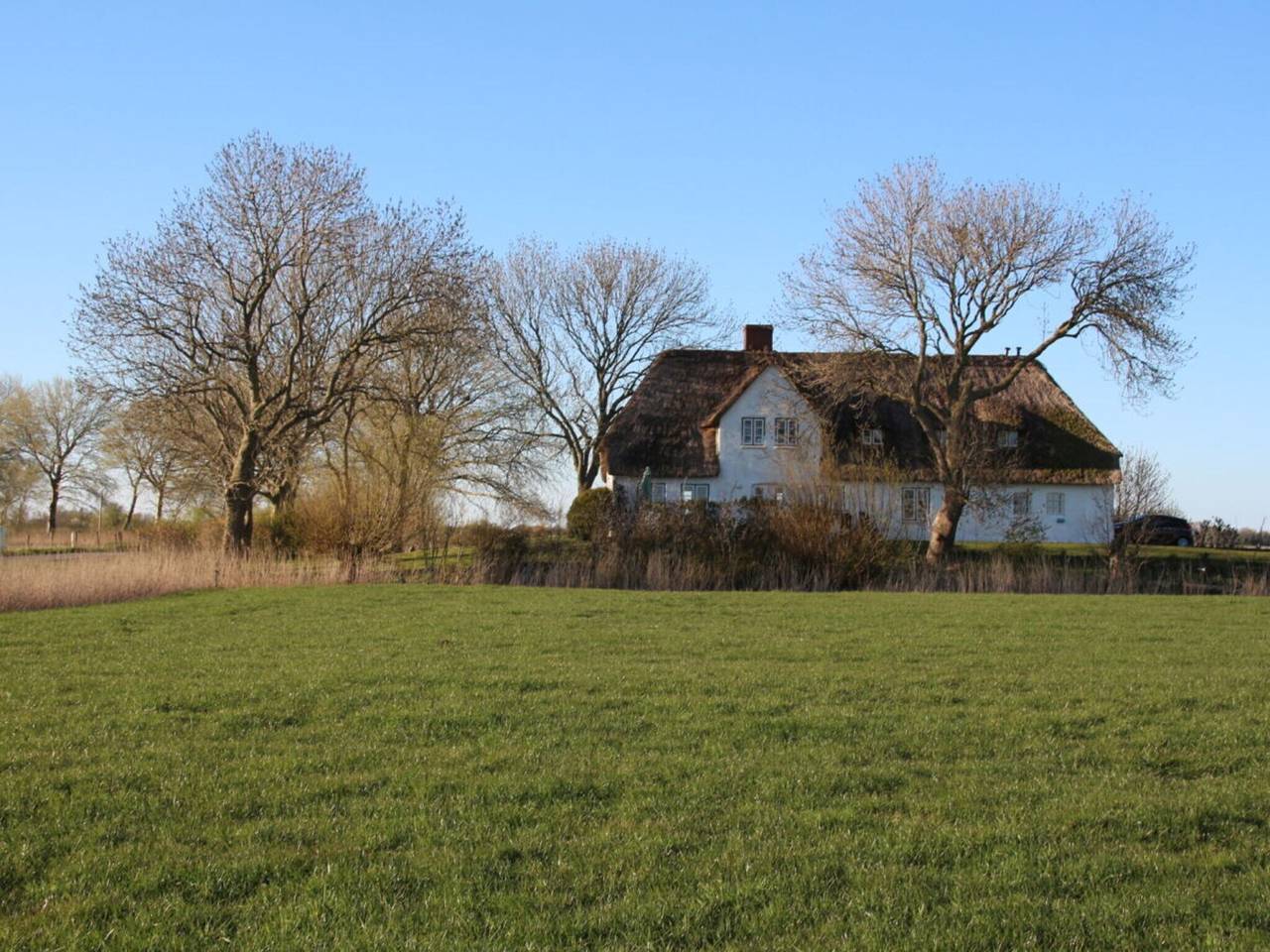 Reetdachhaus Poppenbüll in Poppenbüll, Eiderstedt