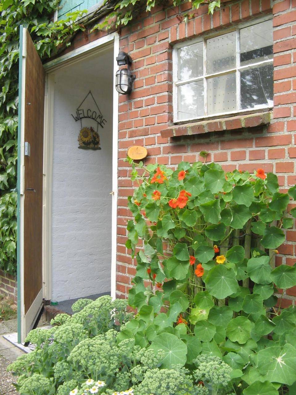 One-Bedroom House in Drenthe