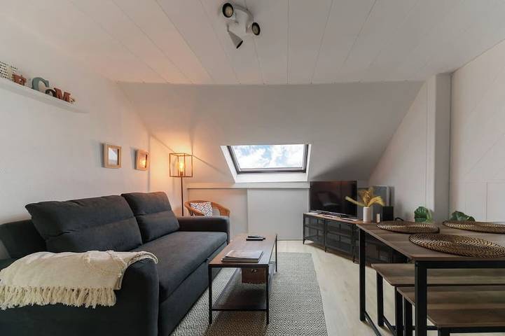 Gîte pour 4 personnes, animaux acceptés dans Centre Culturel Valery Larbaud Vichy