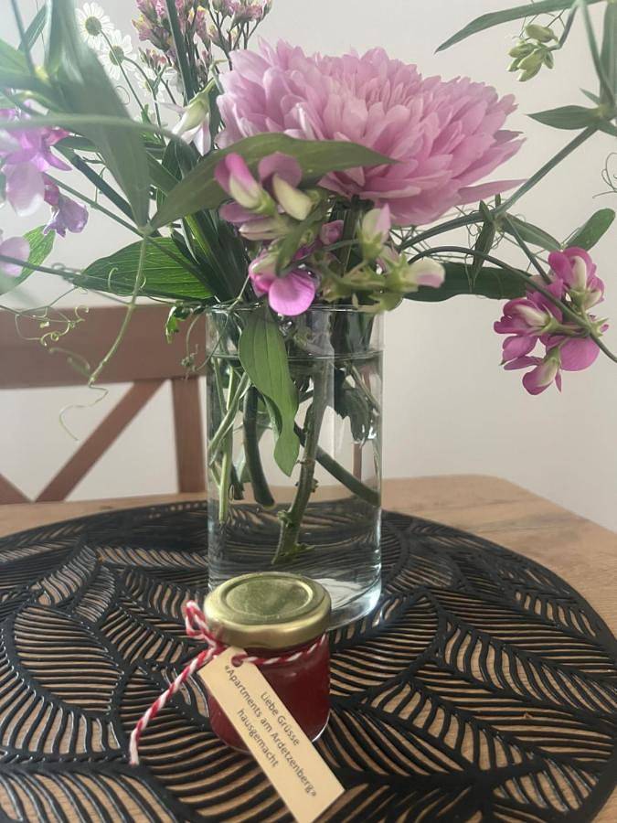 Ferienwohnung für 4 Personen, mit Terrasse und Ausblick, mit Haustier in Feldkirch - 2