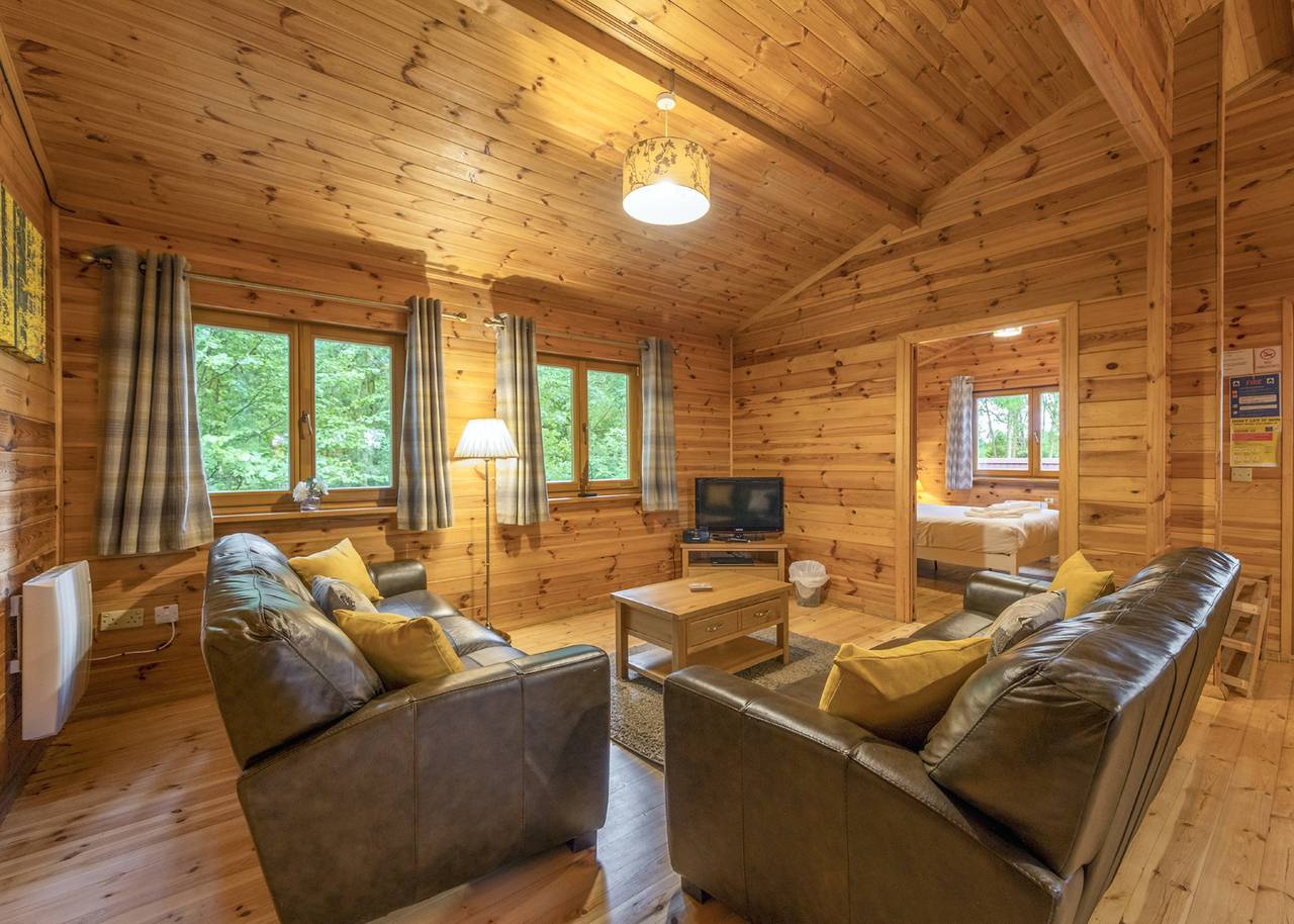 Woodland Birch Lodge in Shropshire