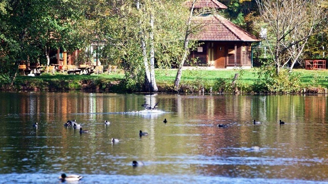 Ganze Ferienwohnung, Ferienwohnung für 2 Personen (39 m²) in Ludwigswinkel in Ludwigswinkel, Pfalz