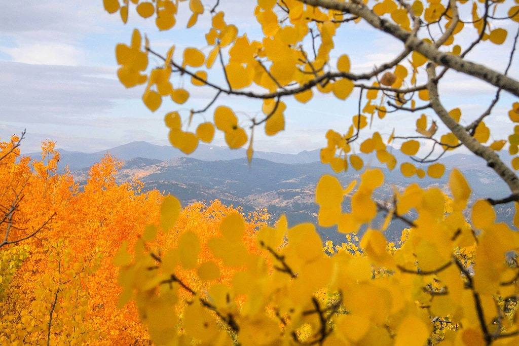 Mountain Views + Hot Tub: Airy Forest Escape! in Arapaho and Roosevelt National Forests