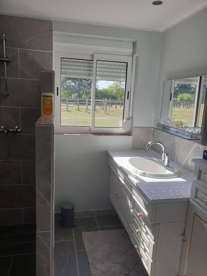 Gîte pour 4 personnes, avec terrasse à Châteauneuf-sur-Sarthe - 4