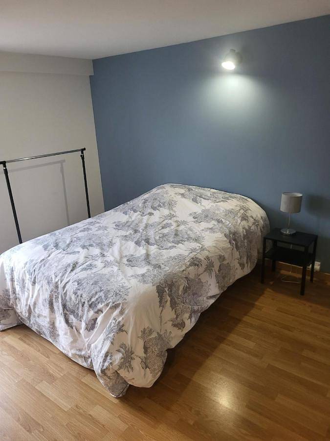 Location de vacances pour 8 personnes, avec terrasse et vue, animaux acceptés à Vierzon - 2