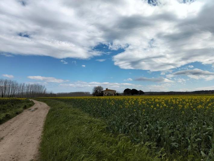 Location de vacances pour 5 personnes, avec vue et jardin à Bordils - 2