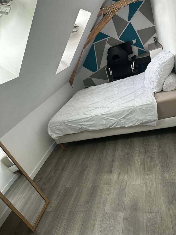 Gîte pour 2 personnes, avec terrasse et jardin à Saint-Ouen-en-Belin - 3