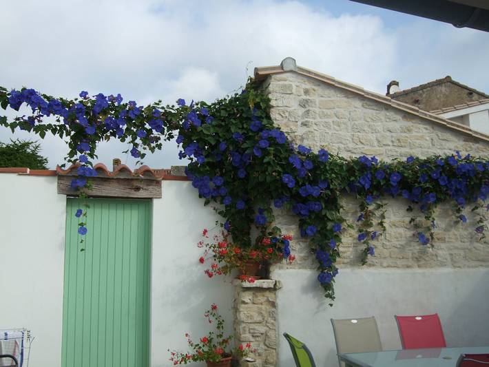 Gîte pour 4 personnes, avec terrasse en Charente-Maritime - 3