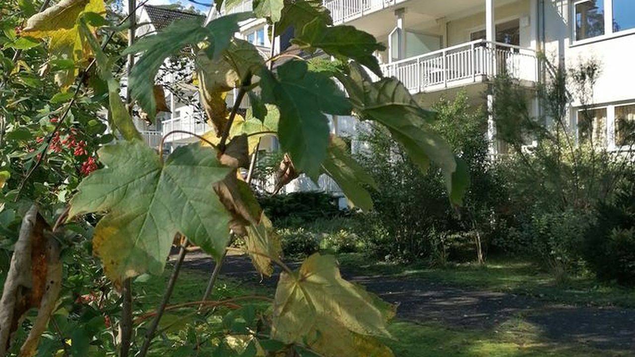 Ganze Ferienwohnung, Ferienwohnung für 2 Personen (50 m²) in Lalendorf in Krakow am See, Mecklenburgische Seenplatte