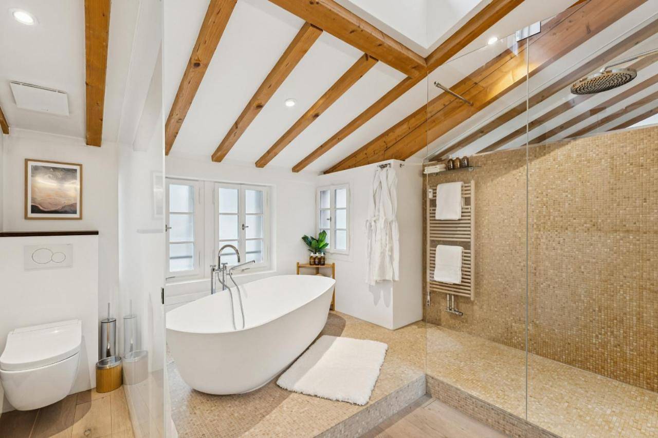 Ganze Wohnung, Old Town Diamond Penthouse Ac Private Rooftop in Zürich, Bezirk Zürich