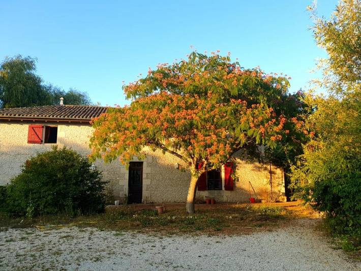 Gîte pour 11 personnes, avec jardin et vue, animaux acceptés à Voulon