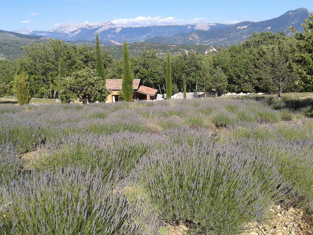 La Distillerie in Champtercier, Alpes-de-Haute-Provence