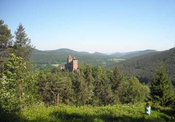 Hütte für 4 Personen in Erlenbach bei Dahn, Pfälzer Weinland, Bild 2