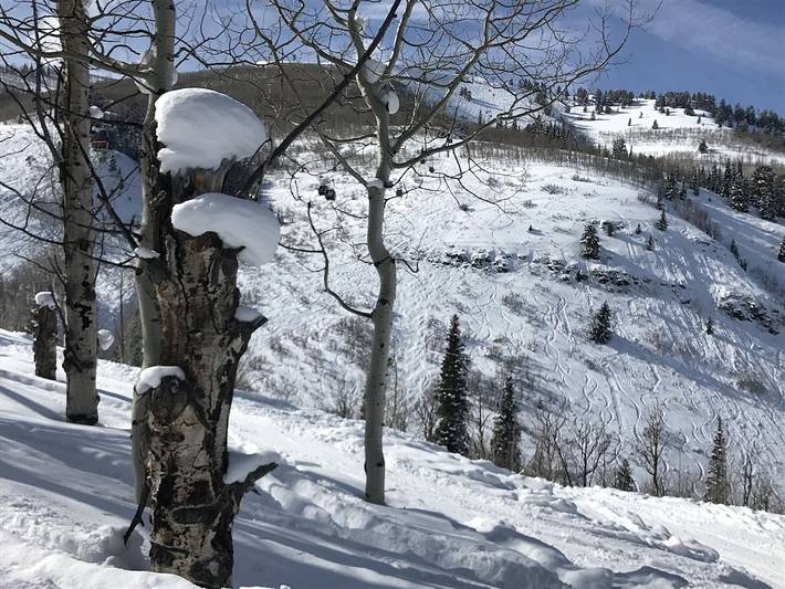 Vacation rental for 6 people, with balcony and yard in Deer Valley