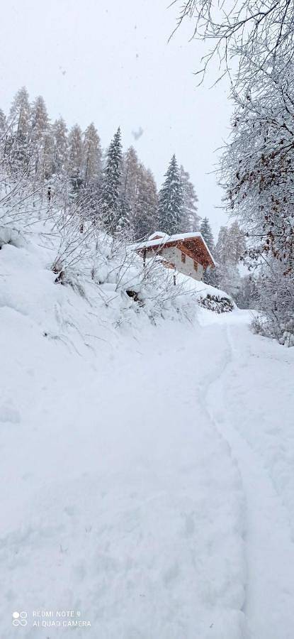 B&b per 8 persone, con Terrazza e Giardino nonché Panorama a Dimaro Folgarida