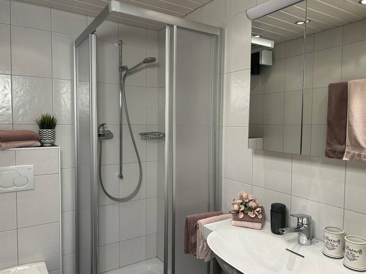 Ganze Ferienwohnung, 2-Bettwohnung Nr. 22 in Saas-Grund, Walliser Alpen