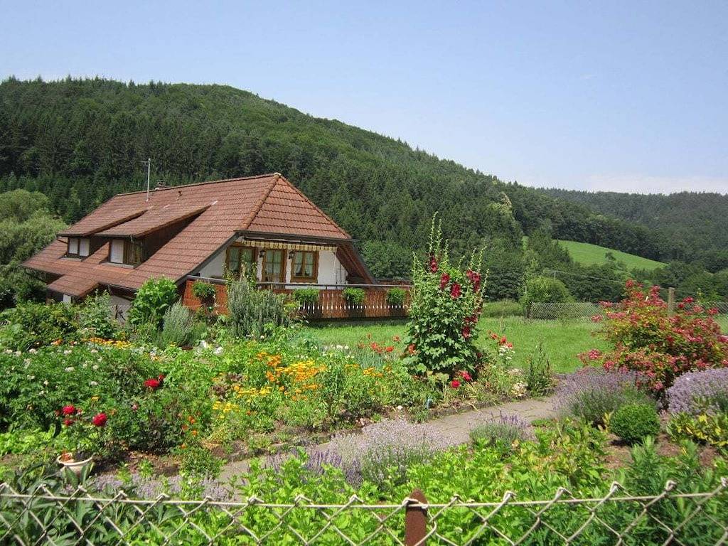 Ferienwohnung mit 1 Schlafzimmer in Seelbach, Mittlerer Schwarzwald